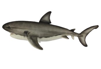 Hansa® | М'яка іграшка Велика біла акула, L. 50см, HANSA (8537)