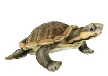 Hansa® | Мягкая игрушка Кусючая черепаха Пурвиза, L. 28см, HANSA (8426)