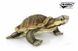 Hansa® | М'яка іграшка Кусюча черепаха Пурвіза, L. 28см, HANSA (8426) - фотографії
