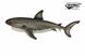 Hansa® | Мягкая игрушка Большая белая акула, L. 50см, HANSA (8537) - фотографии