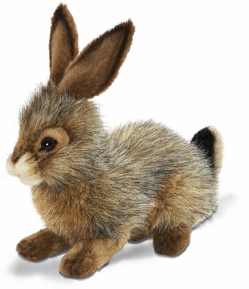 Hansa® | Чорнохвостий кролик, 25 см, реалістична м'яка іграшка Hansa Toys (6284)