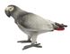 Hansa® | М'яка іграшка Папуга сірий африканський, L. 23см, HANSA (7986) - фотографії