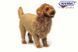Hansa&reg; | Мягкая игрушка Золотистый ретривер, серия Animal Seat длина 100см, Hansa (6346) - фотографии