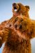 Hansa® | Коричневий ведмідь грізлі, 165 см, анімована м'яка іграшка Hansa Toys (0756) - фотографії