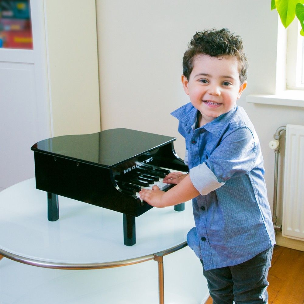 Рояль чорний 18 клавиш New Classic Toys (10150) 8718446101503 фото
