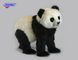 Hansa® | Мягкая игрушка Панда проходящая L. 75см HANSA (4543) - фотографии