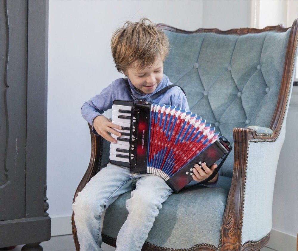 Аккордеон детский с музыкальной книгой New Classic Toys 8718446100575 фото