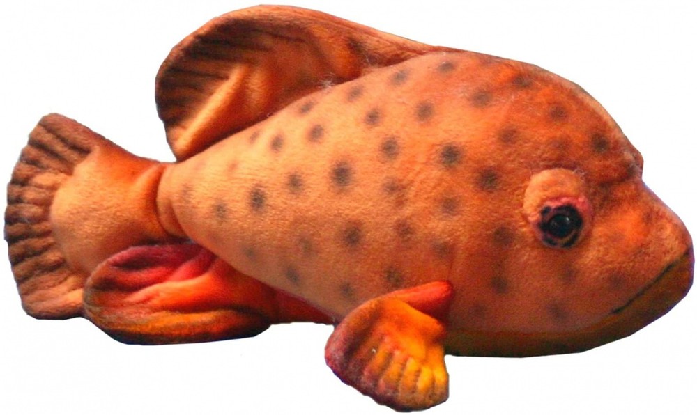 Hansa® | Тропічна риба, 30 см, реалістична м'яка іграшка Hansa Toys (5077)