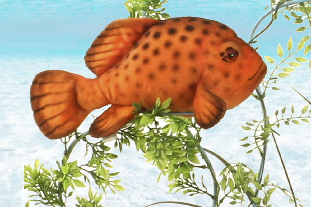 Hansa® | Тропічна риба, 30 см, реалістична м'яка іграшка Hansa Toys (5077)