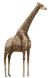 Hansa® | Анімована м'яка іграшка Жираф, H. 370см, HANSA (0035) - фотографії