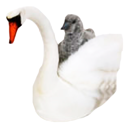 Hansa® | Белый лебедь, 45 см, реалистичная мягкая игрушка Hansa Toys (2981)