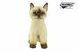 Hansa® | М'яка іграшка Сіамська кішка, L. 20см, HANSA (8557) - фотографії