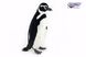 Hansa® | Мягкая игрушка Королевский пингвин, H. 65см, HANSA (7117) - фотографии