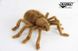 Hansa® | Мягкая игрушка Паук коричневый тарантул, L. 19см, HANSA (8488) - фотографии