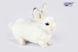 Hansa® | М'яка іграшка Білий кролик, L. 20см, HANSA (7209) - фотографії