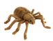 Hansa® | М'яка іграшка Павук коричневий тарантул, L. 19см, HANSA (8488) - фотографії