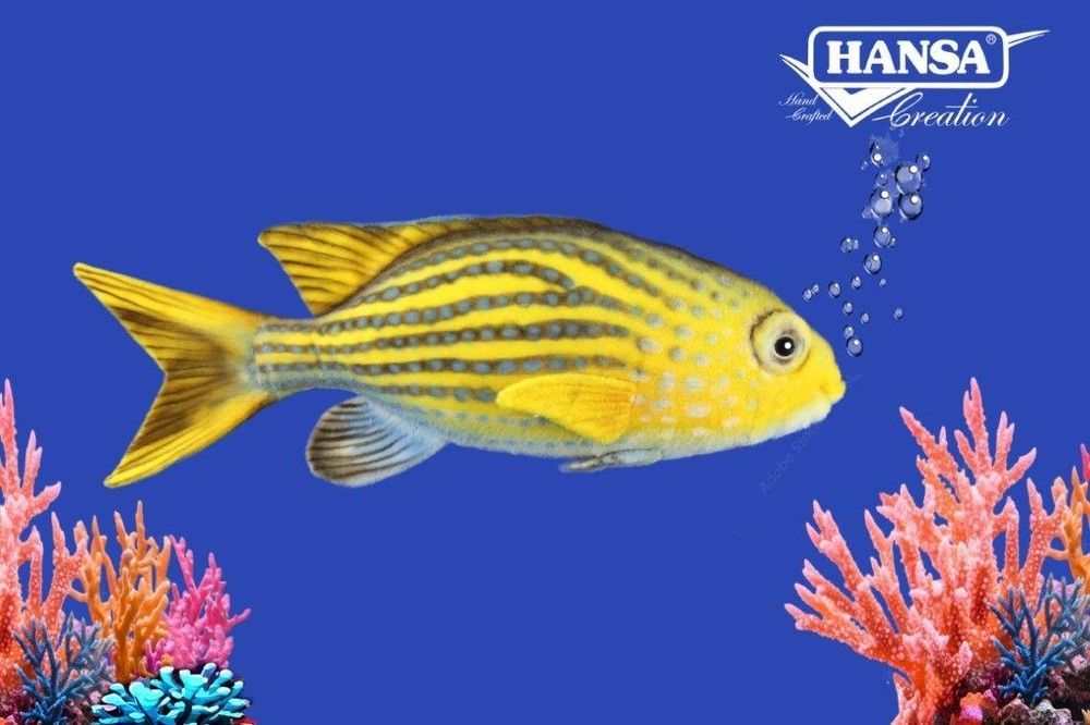 Hansa&reg; | Мягкая игрушка Рыба-хромис линейная длина 36см, Hansa (8796)