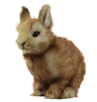 Hansa® | Мягкая игрушка Кролик карликовый (кремовый), L. 18см, HANSA (8128)