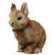 Hansa® | Мягкая игрушка Кролик карликовый (кремовый), L. 18см, HANSA (8128) - фотографии
