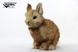 Hansa® | М'яка іграшка Кролик карликовий (кремовий), L. 18см, HANSA (8128) - фотографії