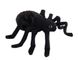 Hansa® | М'яка іграшка Павук чорний, L. 19см, HANSA (8489) - фотографії