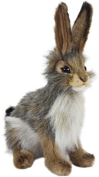 Hansa® | Чернохвостый кролик, 23 см, реалистичная мягкая игрушка Hansa (3754)