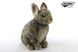 Hansa® | М'яка іграшка Кролик карликовий, L. 18см, HANSA (8130) - фотографії