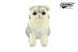 Hansa® | М'яка іграшка Шотландський сірий кіт, L. 23см, HANSA (8563) - фотографії