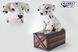 Hansa® | Анимированная мягкая игрушка Щенок далматинца на коробке, H. 41 см, HANSA (0572) - фотографии