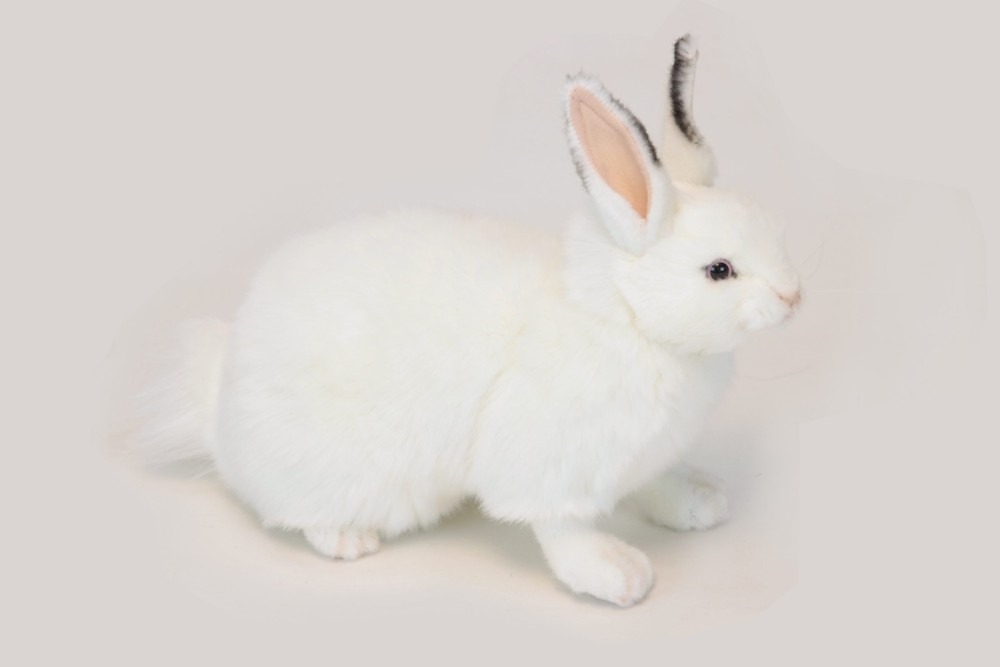 Hansa® | Мягкая игрушка Снежный кролик, L. 34см, HANSA (6305)