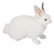 Hansa® | М'яка іграшка Сніговий кролик, L. 34см, HANSA (6305) - фотографії