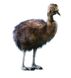 Hansa® | Мягкая игрушка страус Ему, H. 180см, HANSA (8566) - фотографии