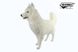 Hansa® | Анимированная мягкая игрушка Сибирский хаски, белый, L. 115см, HANSA (0849) - фотографии