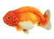 Hansa® | Мягкая игрушка Золотая рыбка Ранчо, L. 23см, HANSA (8515) - фотографии