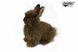 Hansa® | М'яка іграшка Зайчик (коричневий), L. 23см, HANSA (7847) - фотографії