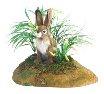 Hansa® | Мягкая игрушка Чернохвостый кролик Джек, H. 20см, HANSA (5911)