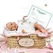Кукла Chloe Reborn в коробке, 48см, Nines d`Onil (0239) 8435054302398 фото 1