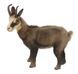 Hansa® | М'яка іграшка Дика коза(Сарна), H. 32см, HANSA (6318) - фотографії